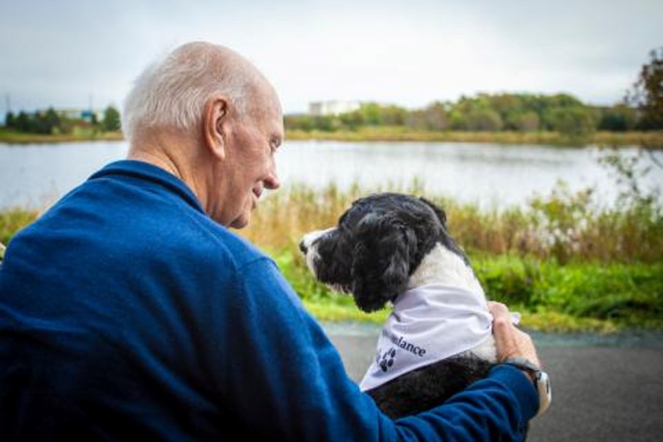 The St. John Ambulance therapy dog program developed out of a need to offer comfort to seniors who often are isolated and lonely.