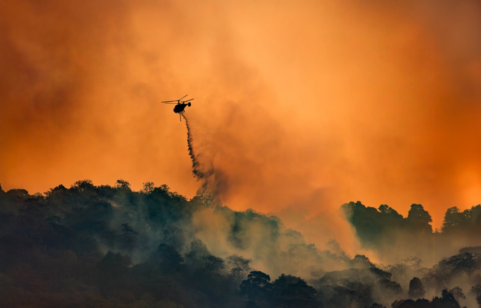 gettyimages-2187791379