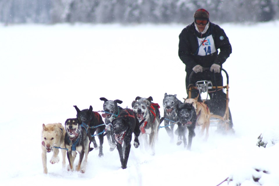 n50-sled-dog-races-1
