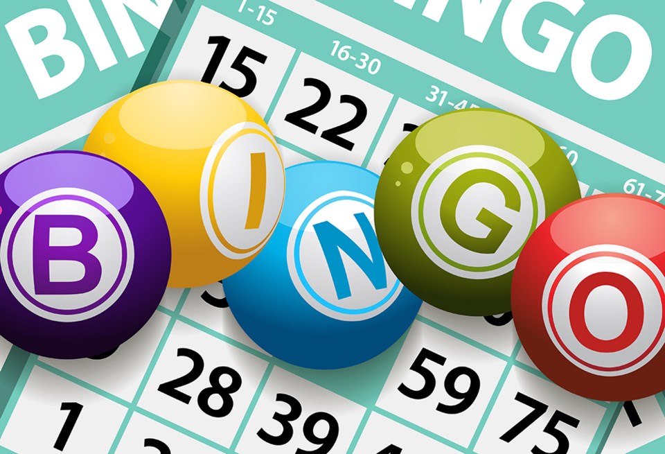 bingo-1751-adobe-stock