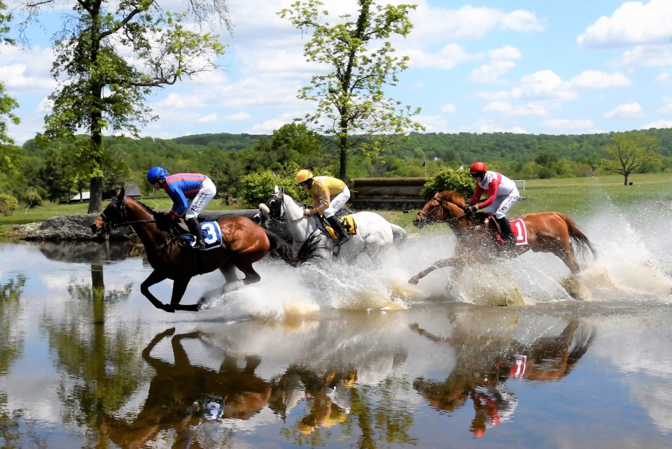 Get those Virginia Gold Cup tickets before they sell out Gazette Leader