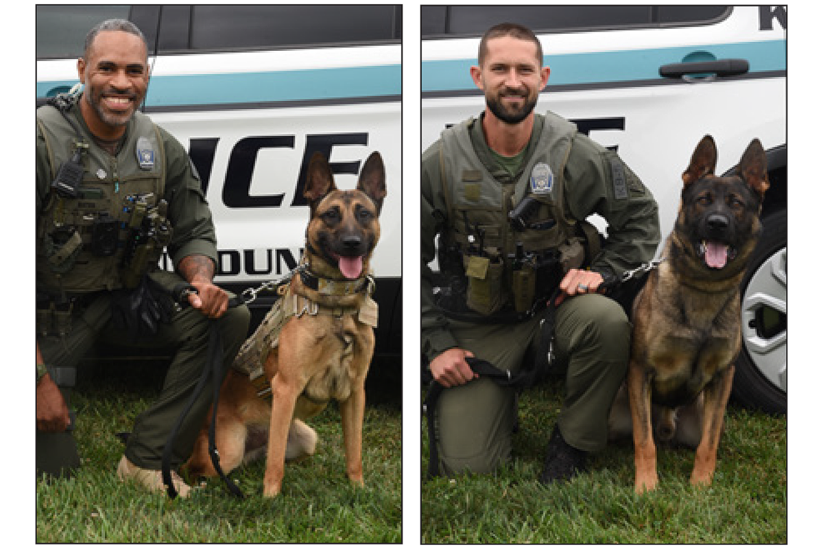 Belgian malinois k9 sales unit
