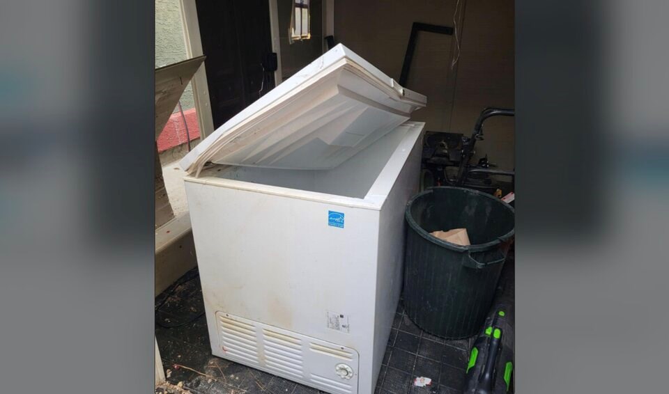 In their latest encounter, a bear tore open the Okanagan Falls family's chest freezer.