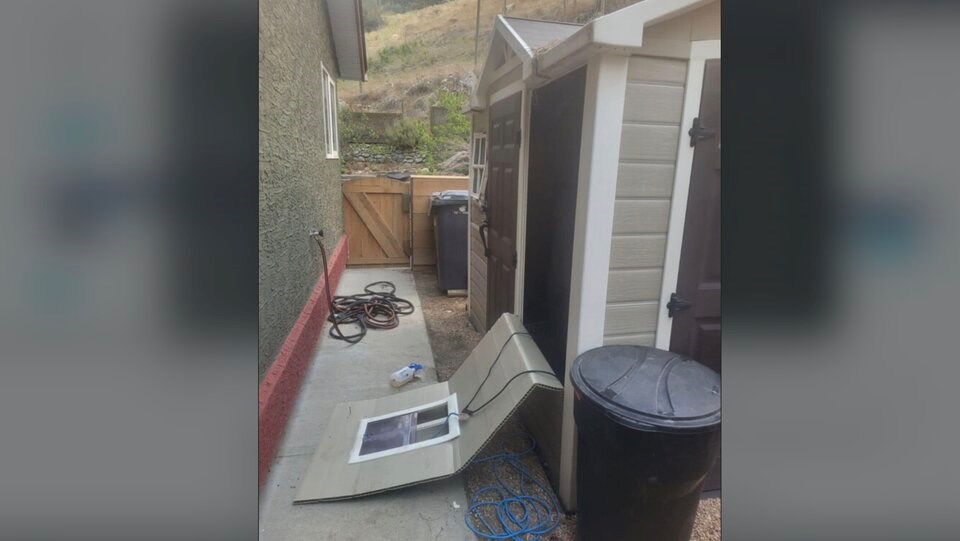 Bears tore down the wall of the family's shed.
