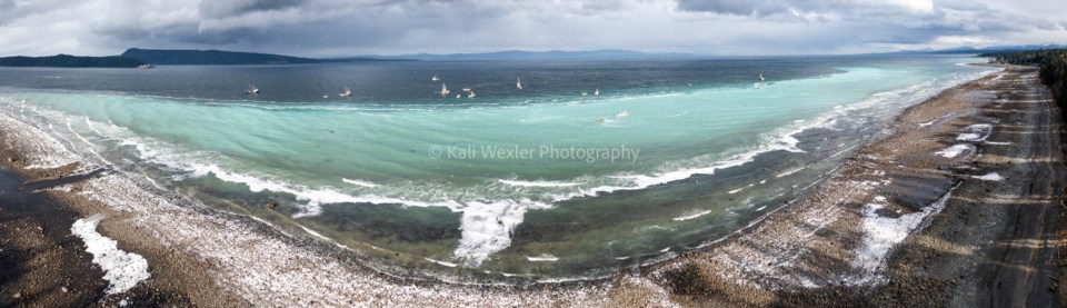 Photographer captures 'fantastic visual sight' of herring spawn off Hornby