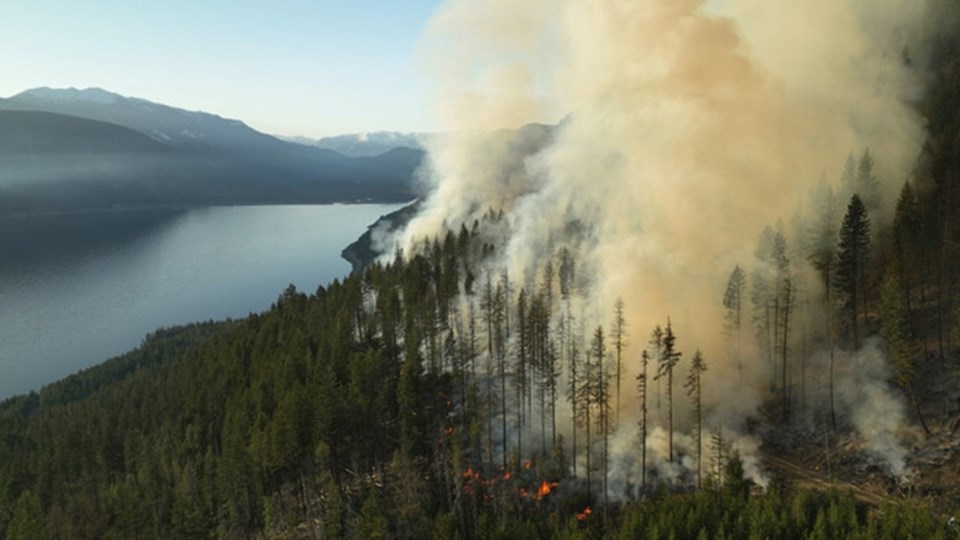 bcfireskootenaylake