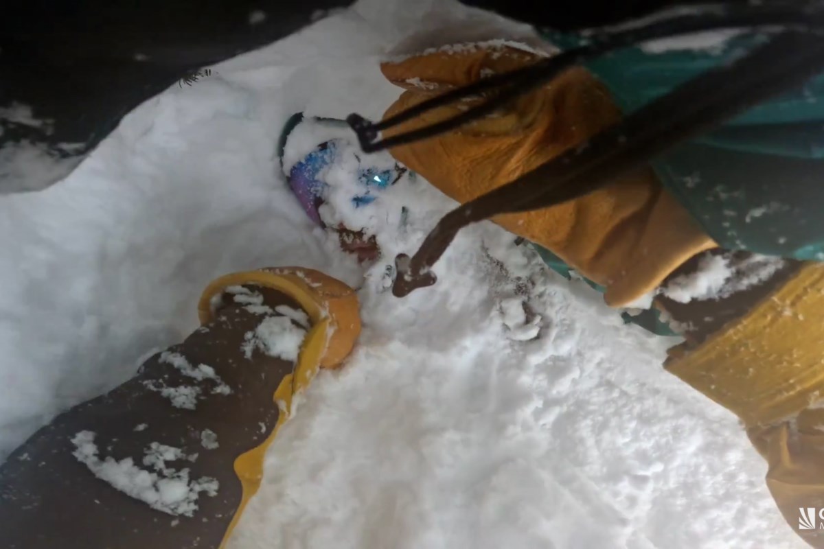 Un extraño rescató a un snowboarder de un árbol en Mount Baker