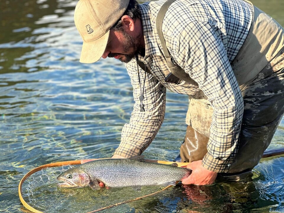 Illegal B.C. fish farm to get second chance, says government