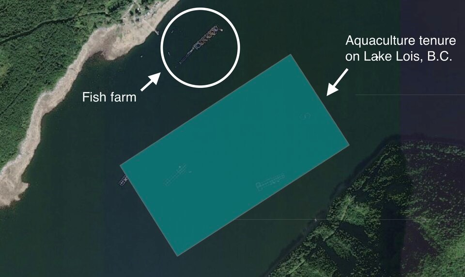 lois-lake-fish-farm