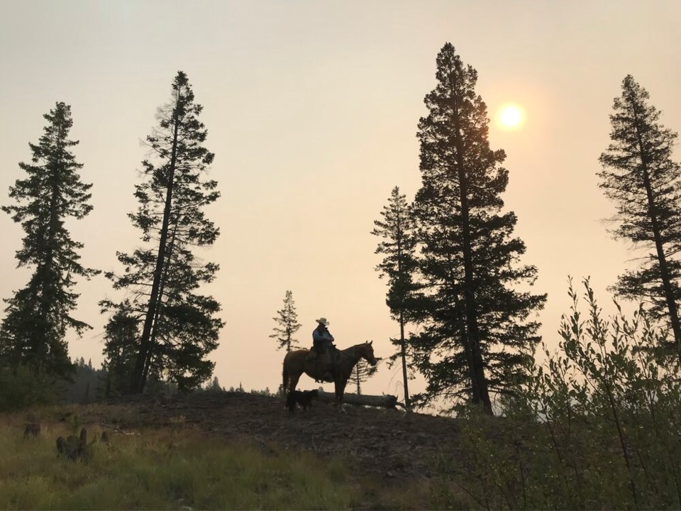 Ranching near Merritt