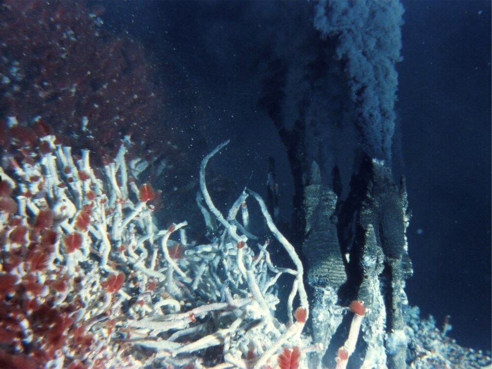Endeavor hydrothermal vents