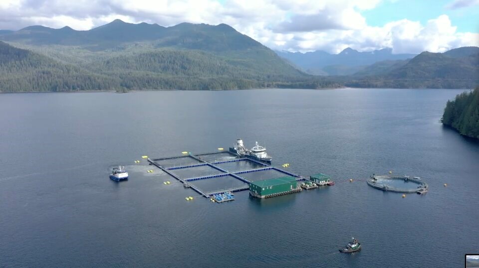 clayoquot-sound-fish-farms