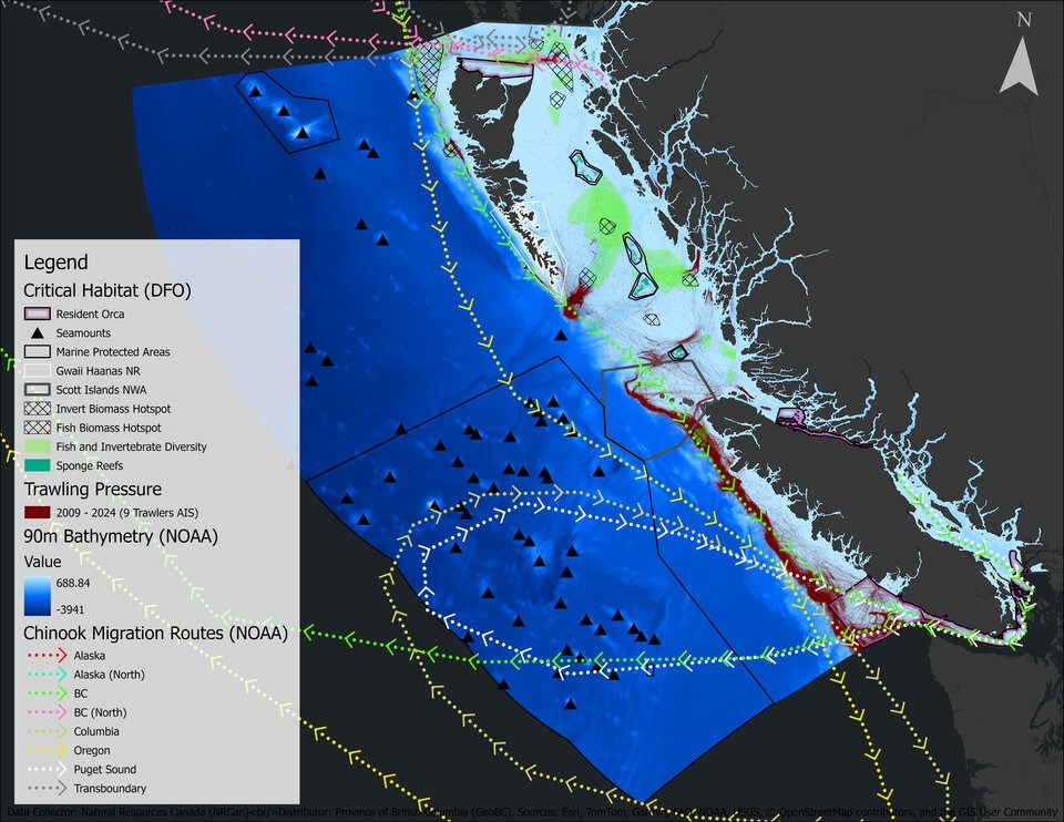 chinook-routes-and-trawling-activity