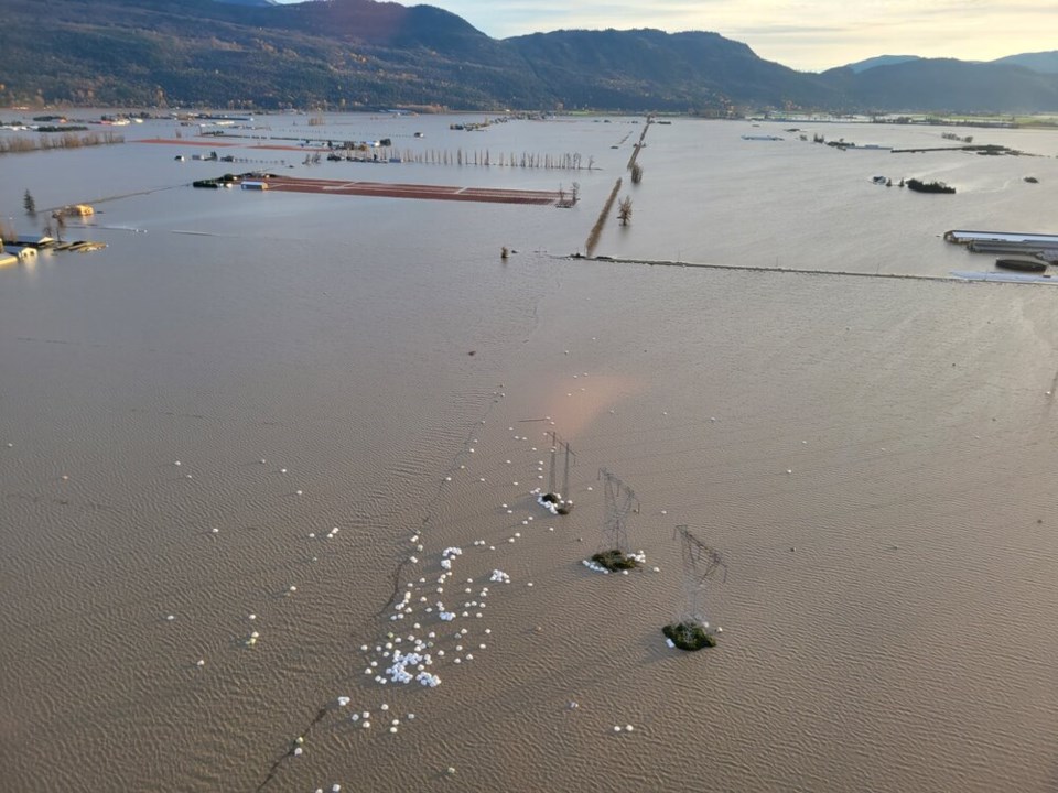 Floating bales of hay