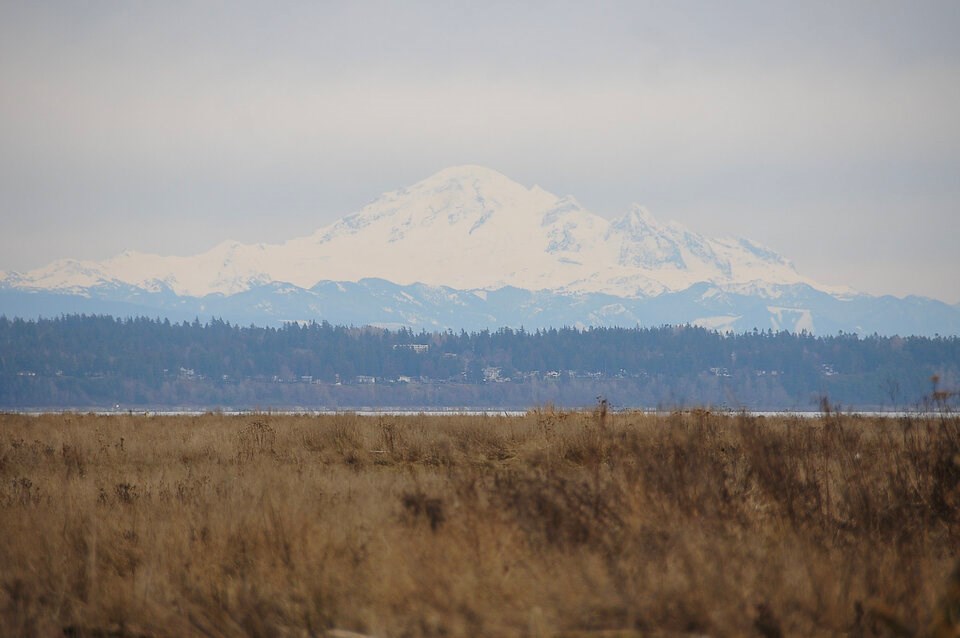 mount-baker-salt-marsh