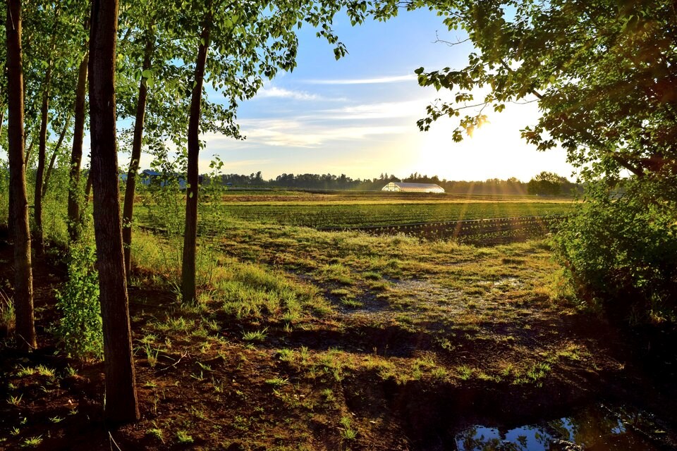 oregon-diversified-farm