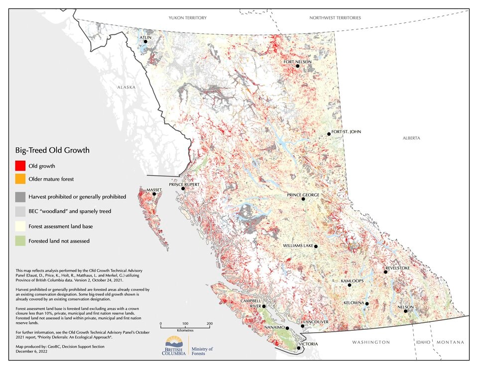 big-treed-old-growth-map-2