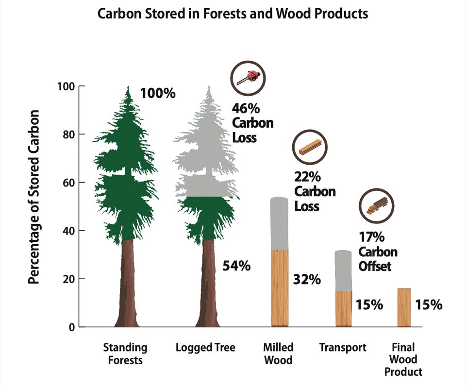 forest-carbon-and-wood-products