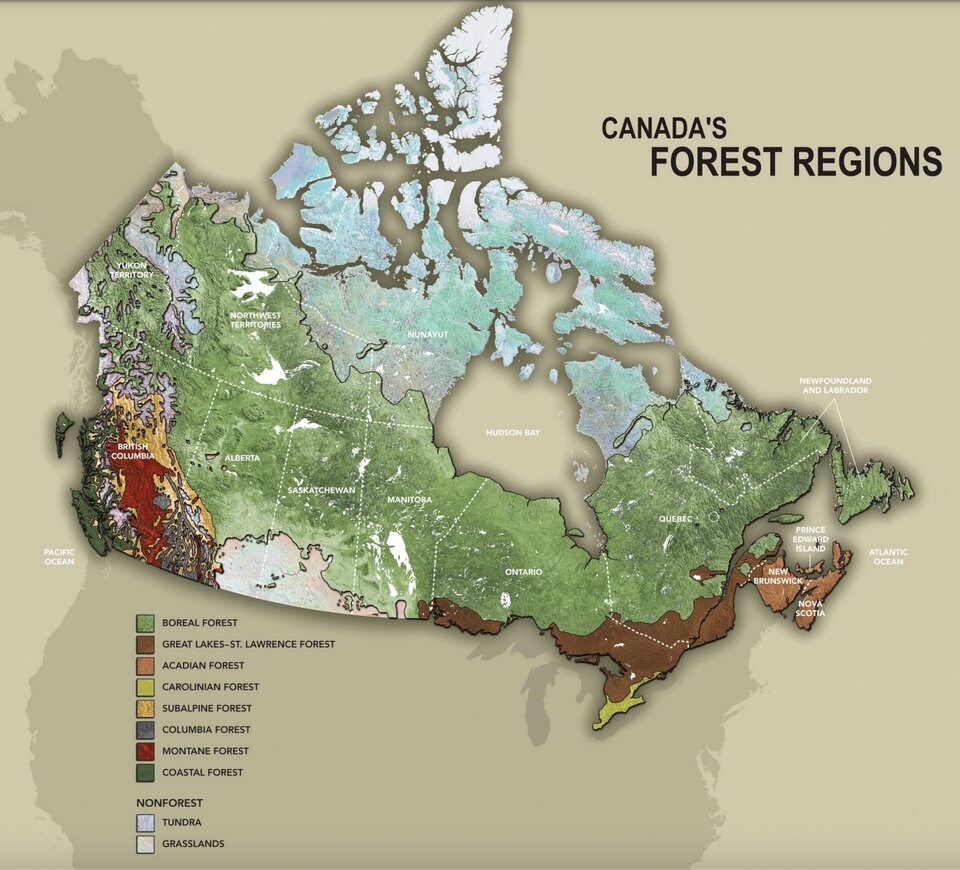 forest-zones-of-canada