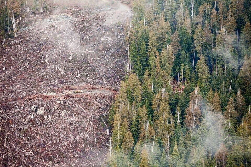 rsz_thumbnail_klanawa-valley-old-growth-logging-split-view