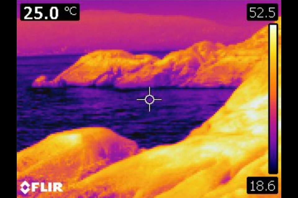 During the 2021 heat dome in British Columbia, a thermal camera captures temperatures up to 56 C at Lighthouse Park in West Vancouver, enough to decimate seashore life.