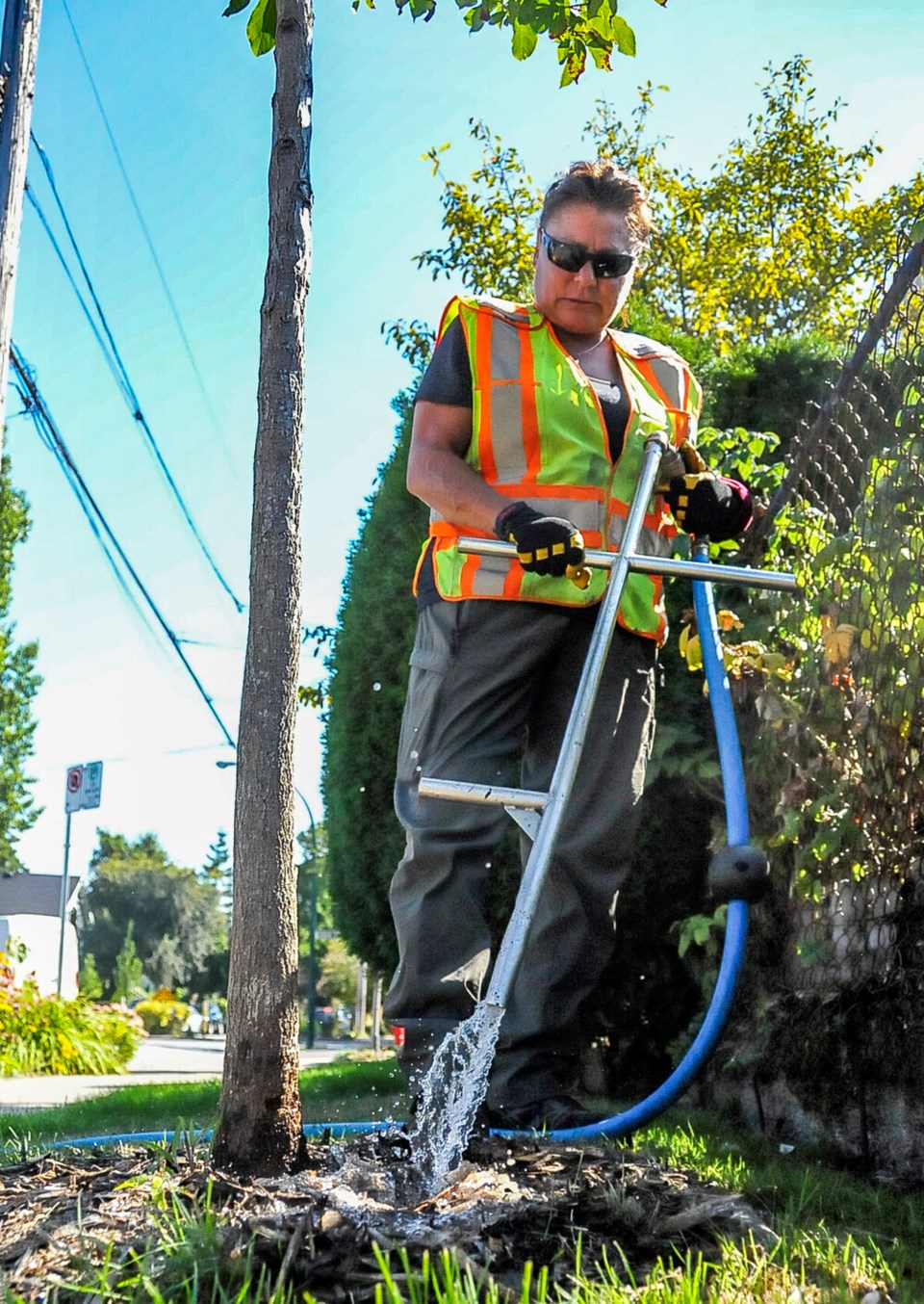 Tree watering