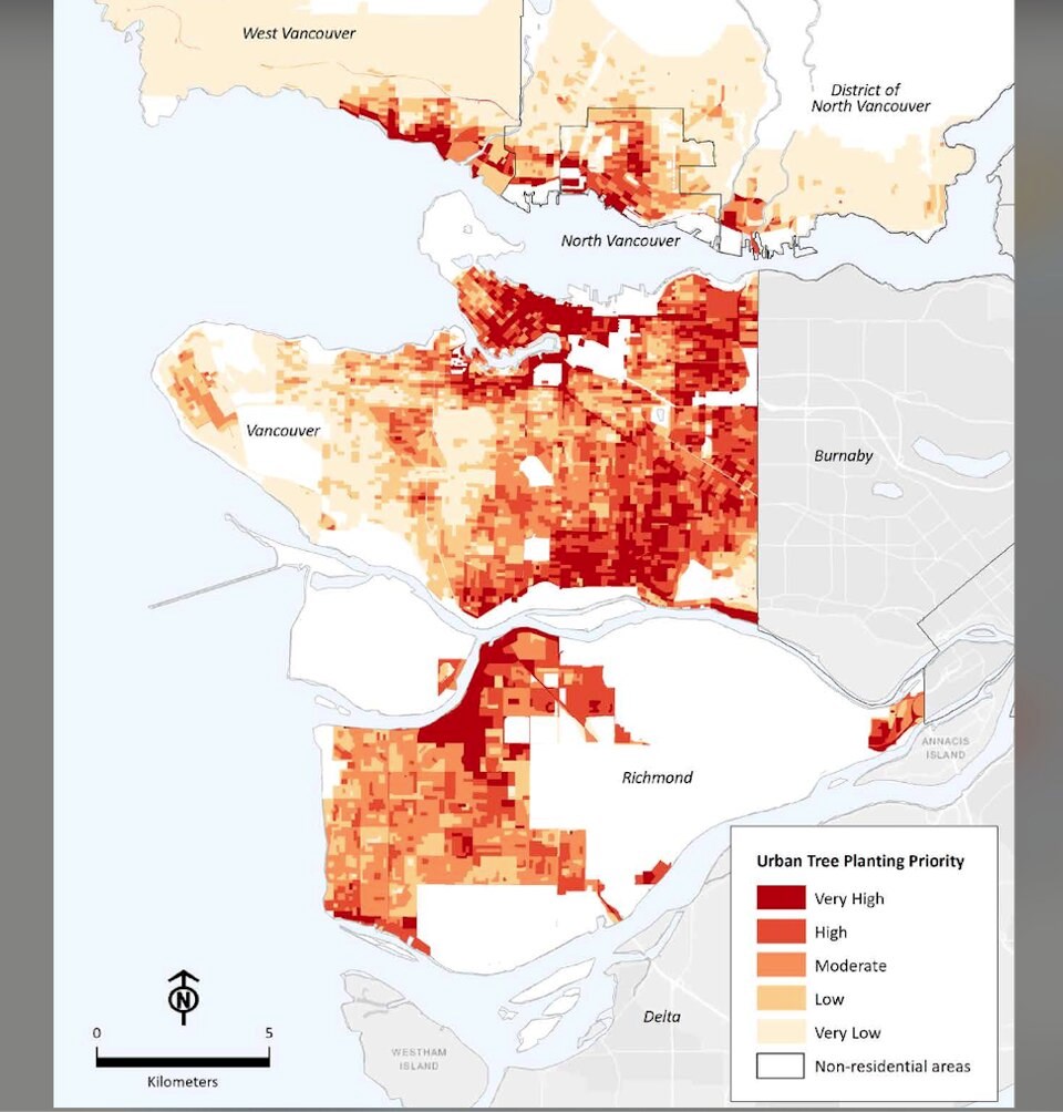 tree-planting-priorities-in-vch