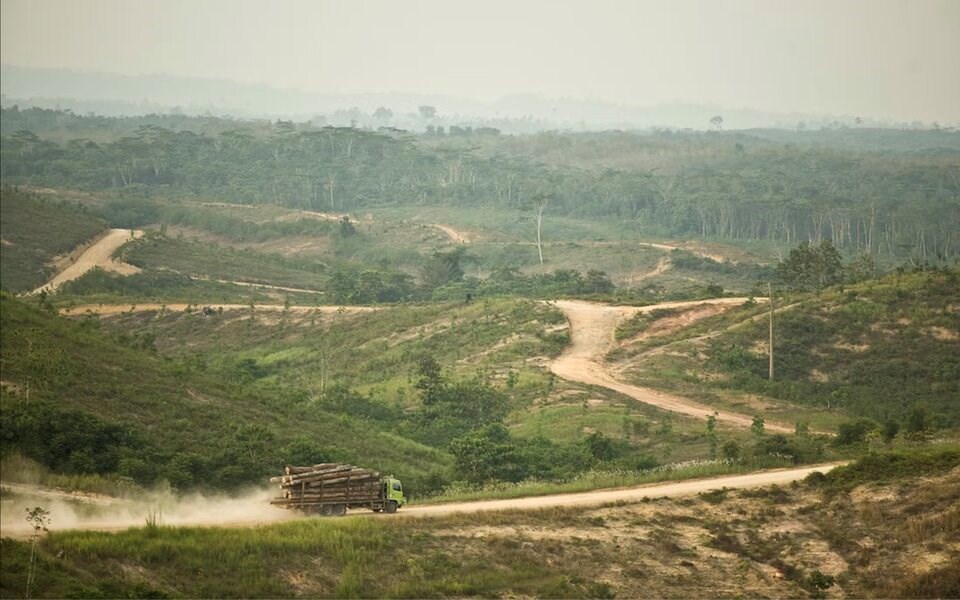 logging-truck-in-sumatra