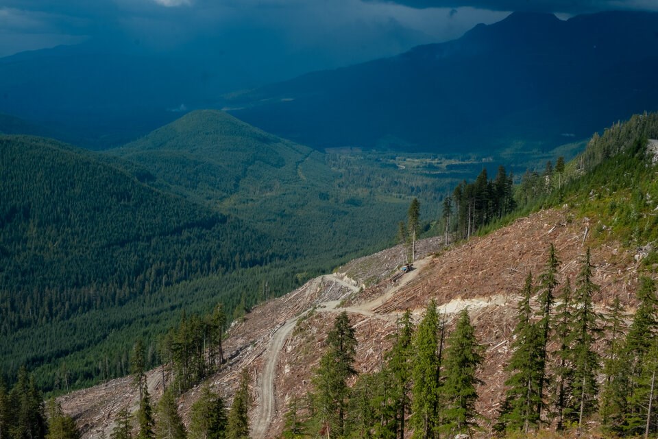 Giant old-growth clearcut in a proposed deferral area near Vancouver Island's Nootka Sound. Critics of the latest national emissions inventory fails to count greenhouse gasses from the forestry industry.