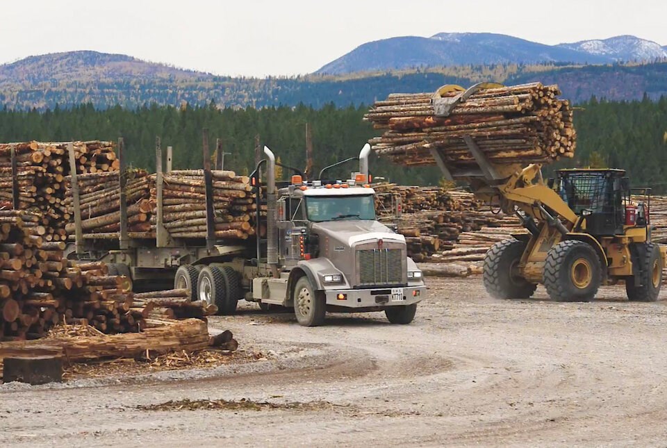 PPEC: False claims and sloppy journalism confuse the deforestation issue -  Pulp and Paper Canada