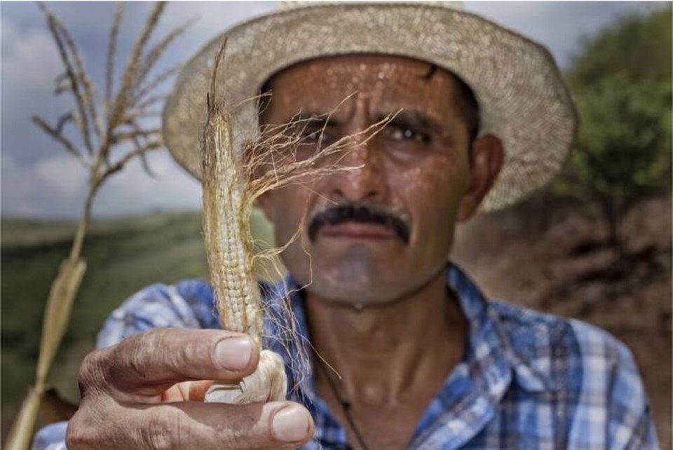 WFP - Dry corridor