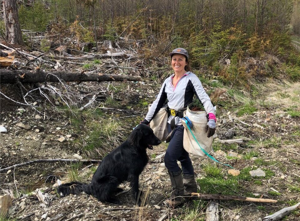 Alison Long tree planting with dog