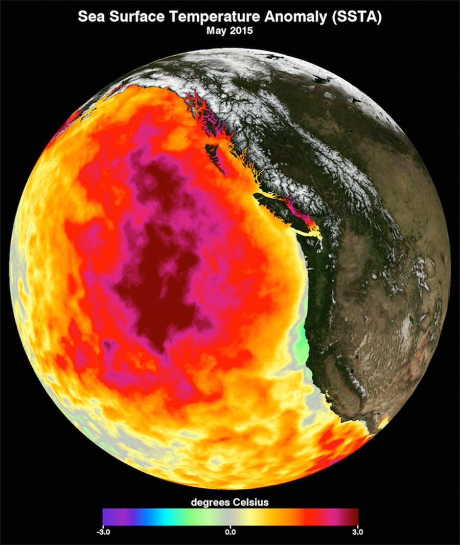 podaac_blob_colordata_sst2015