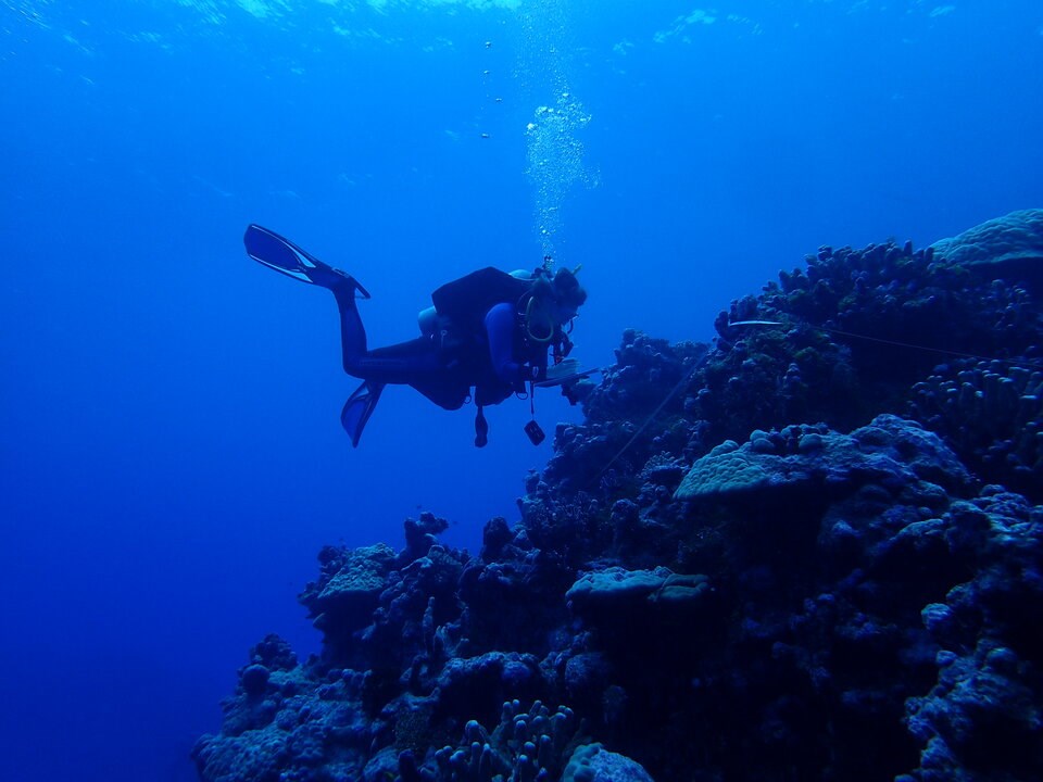 coral-reef-diving