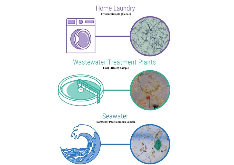 microplastics-stages