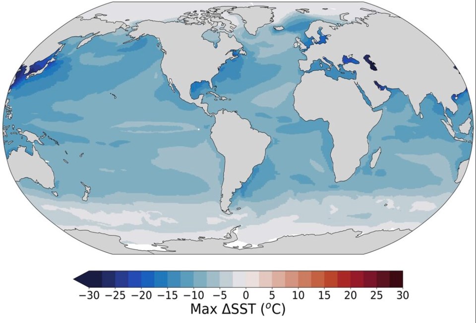 Nuclear ice age