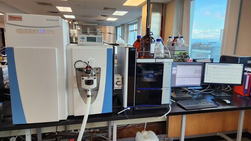 mass-spectrometer