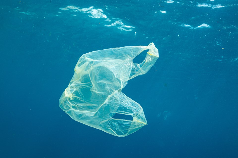 Single Use Plastic Bag Ban Creates Unintended Problems in Canada  [Feature/Expert Interviews]