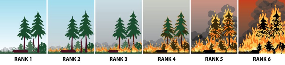 fire-rank-infographic-banner