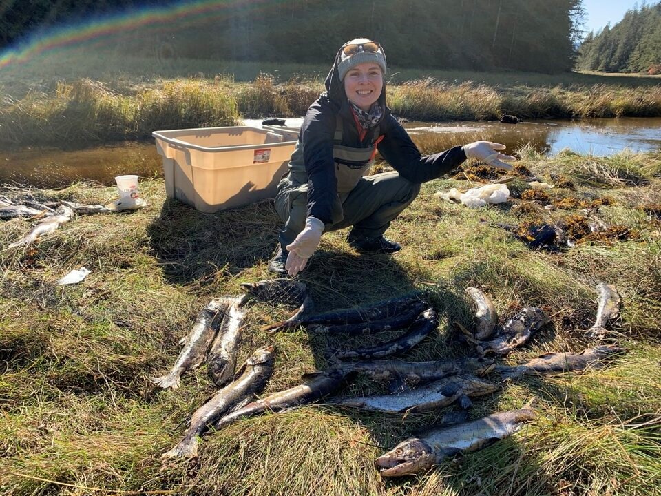 salmon-ecologist-allison-dennert