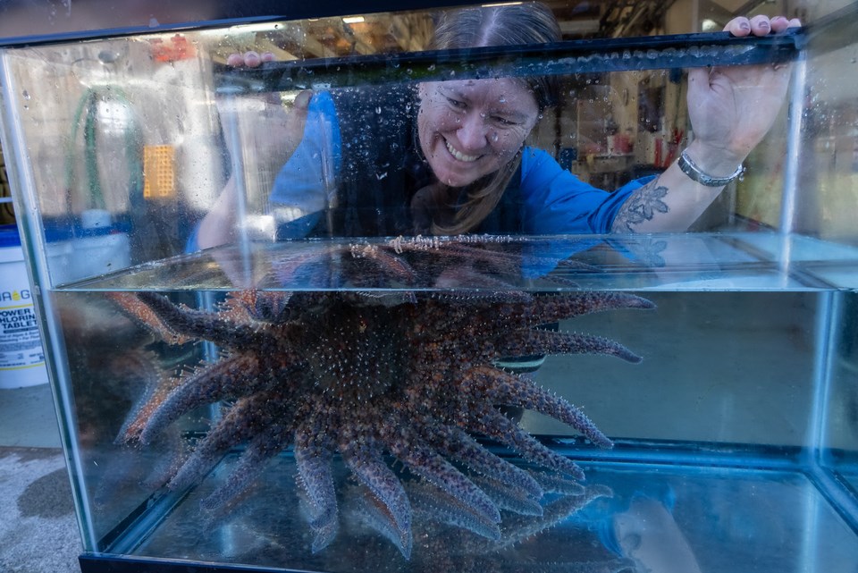 copy-of-5-alyssa-gehman-at-marrowstone-marine-field-station_photo-courtesy-of-kristina-blanchflower_hakai-institute