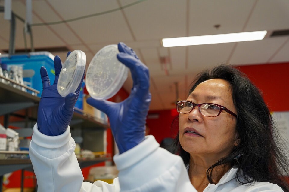 rsz_copy_of_15_amy_chan_in_the_suttle_lab_at_ubc_photo_courtesy_of_toby_hall_hakai_institute