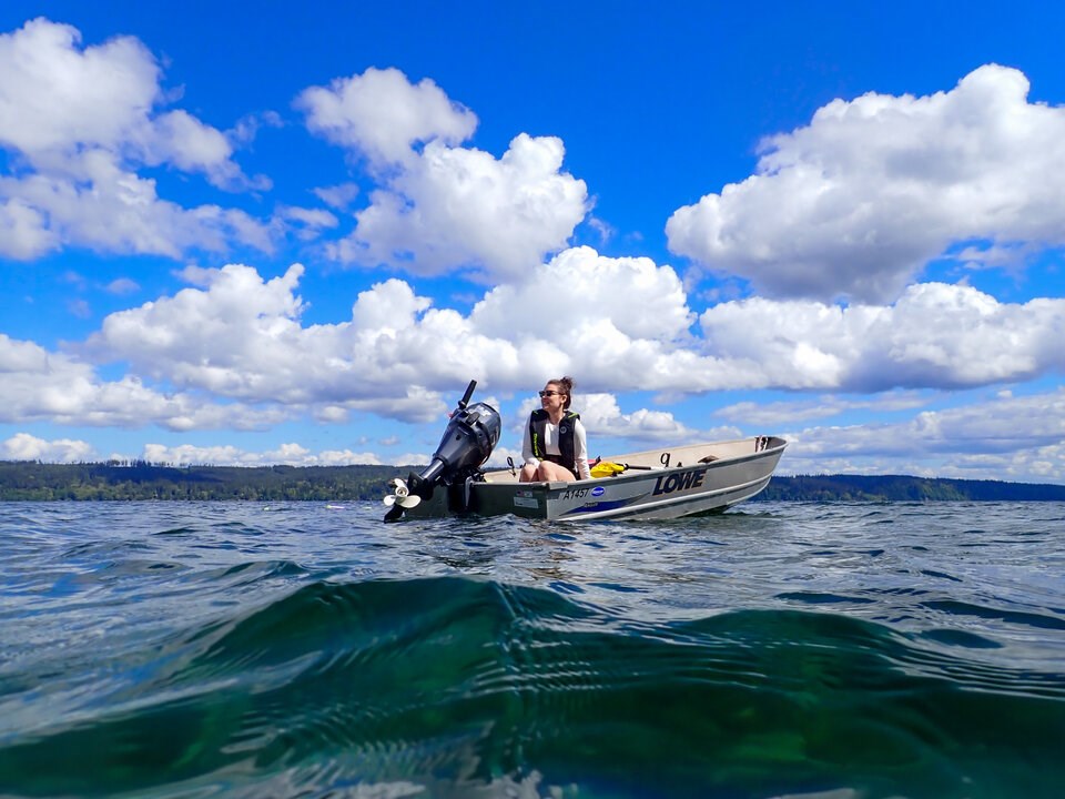 Fish songs: Scientists race to capture ocean soundscapes before