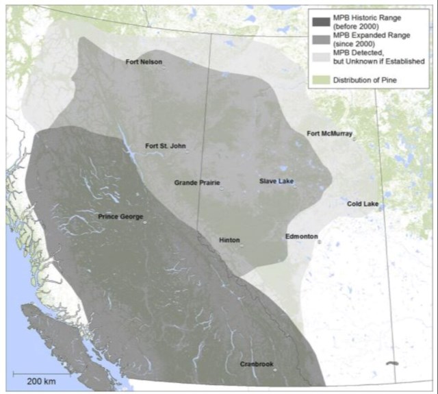 mountain-pine-beetle-range-change