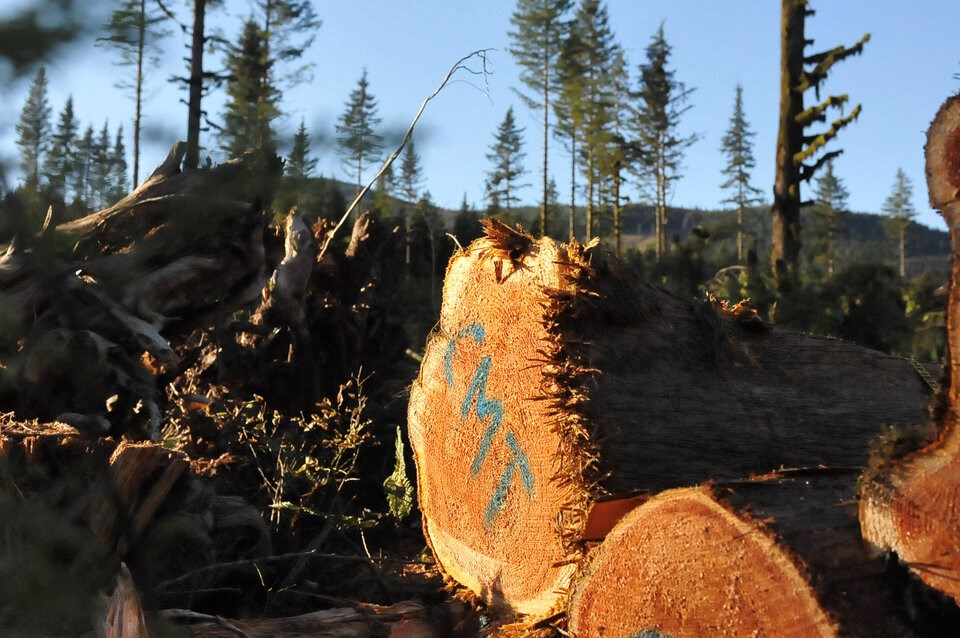 ch826a-chehalis-valley-logging