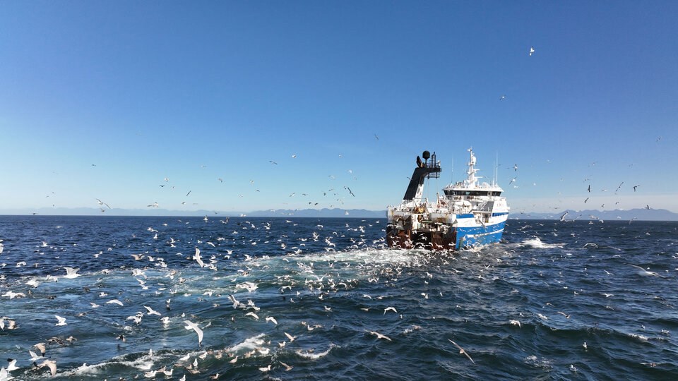 rsz_factorytrawlerwestcoastvancouverisland1