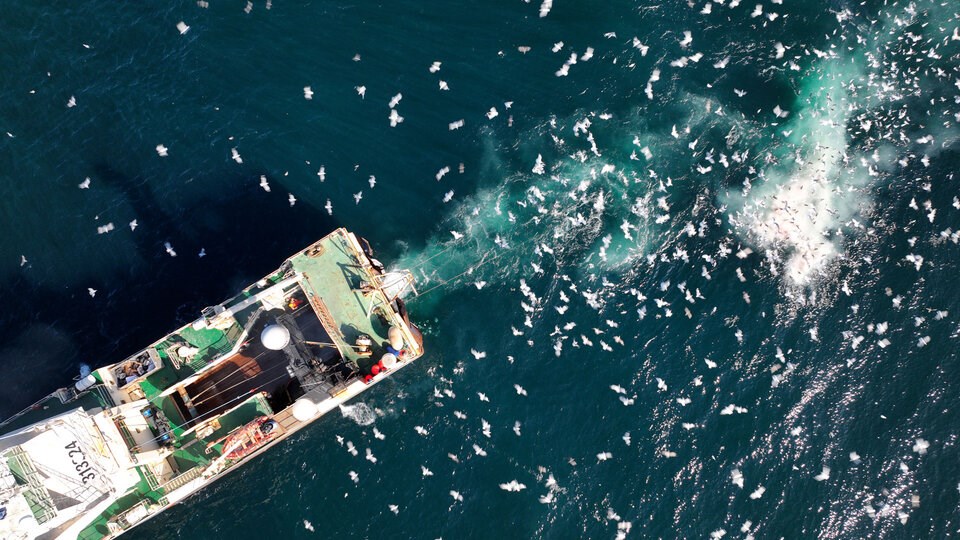 rsz_factorytrawlerwestcoastvancouverisland3