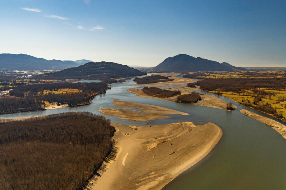 Salmon habitat