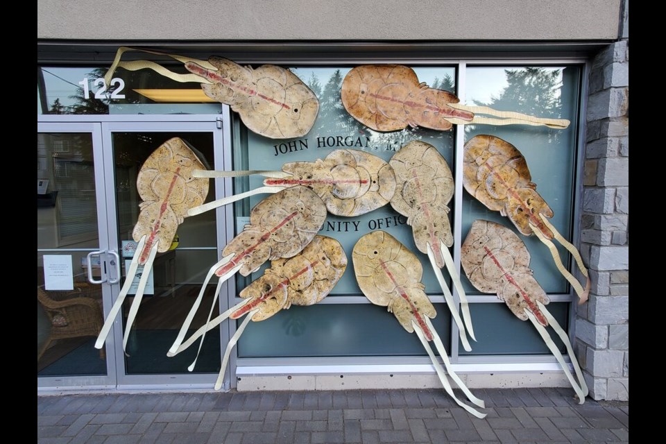 Giant cutouts of sea lice plaster B.C. Premier John Horgan's constituent office in Langford. The artistic protest was part of a call to all levels of government to protect wild Pacific salmon by transitioning sea-based salmon farms, what some call a vector for disease, to land. 