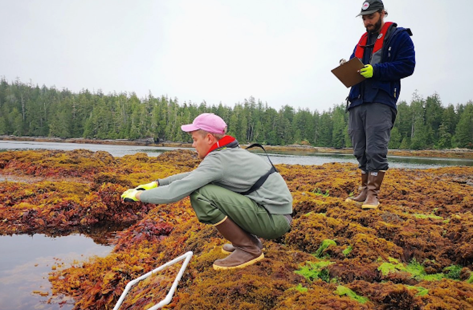 bluecarboncanada